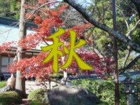 秋風景ページへ