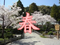 春風景ページへ